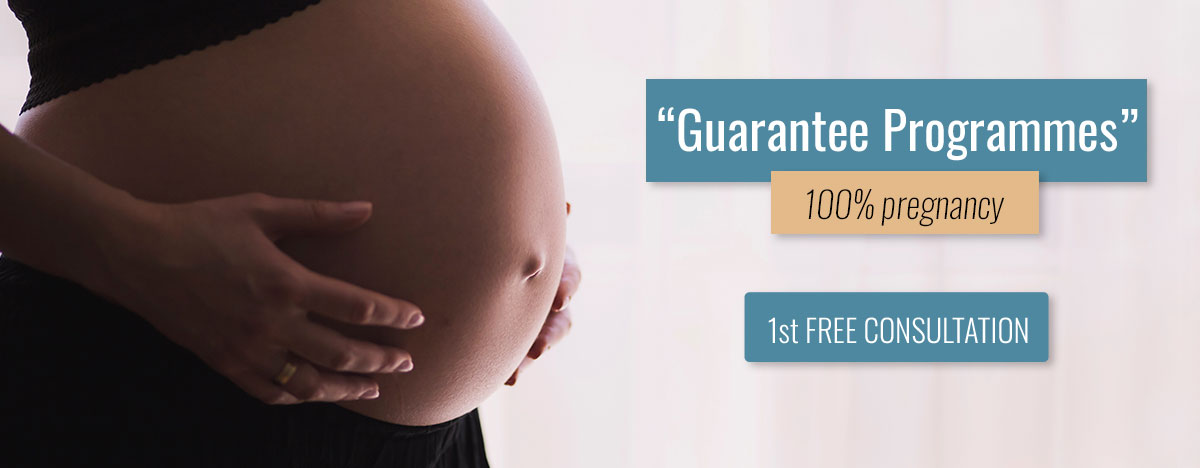 The 100% Pregnancy Program: the cornerstone in building a family