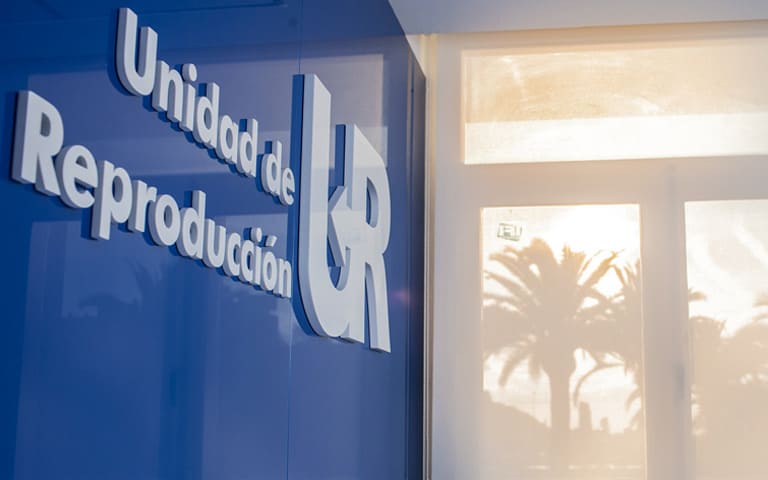 Referente en investigación y docencia.