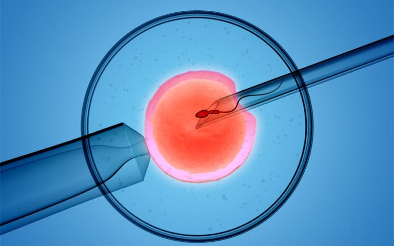 Grupo español de fertilidad con más de 200 profesionales dedicados a reproducción asistida